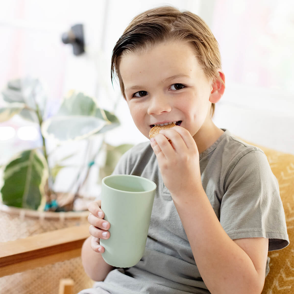 14oz Cup + Lid – Kids Tableware by ezpz