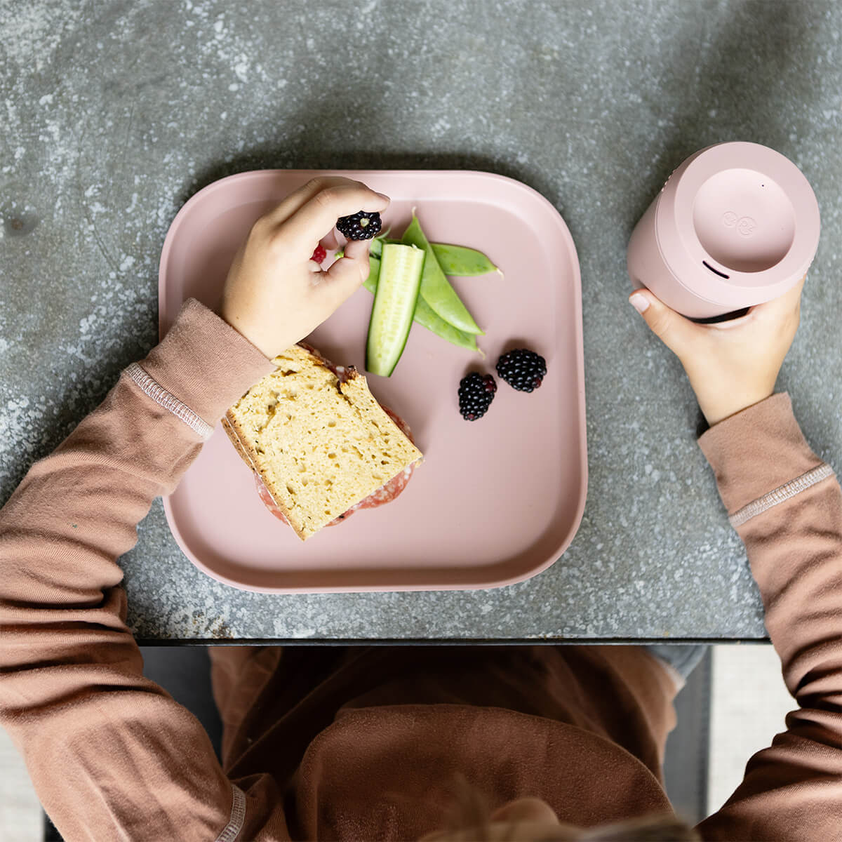 Mealtime Plates – 2 Pack