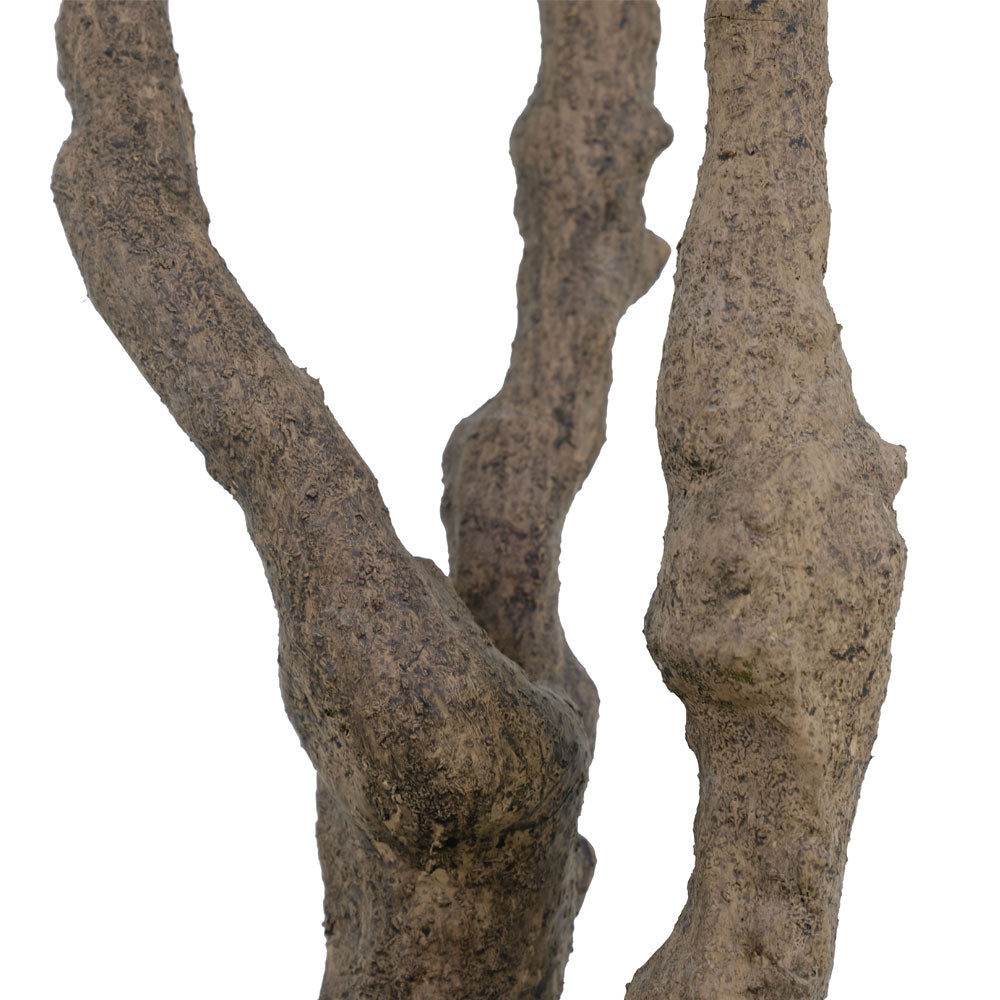 7.5' Artificial Potted Olive Tree