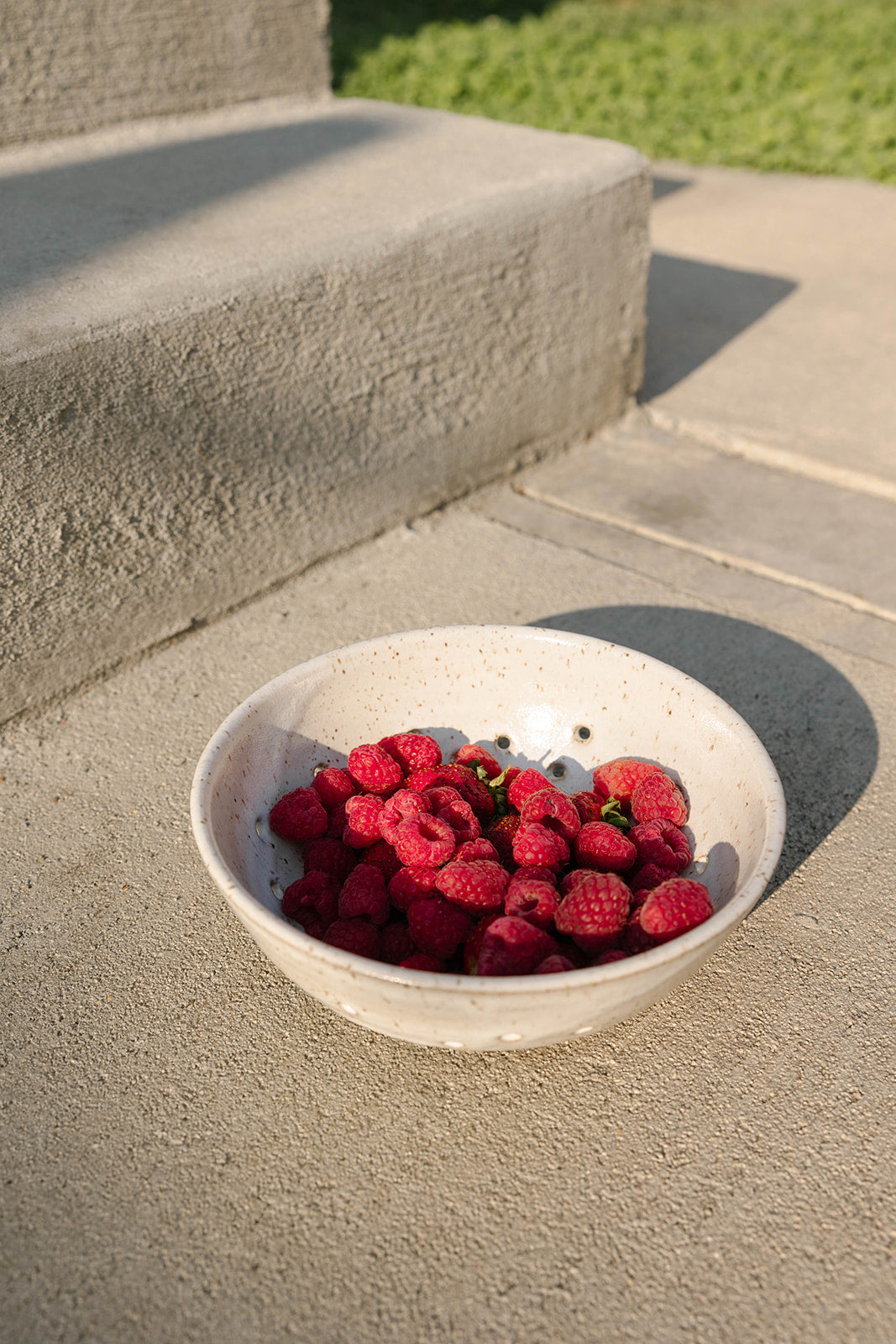 Berry Bowl