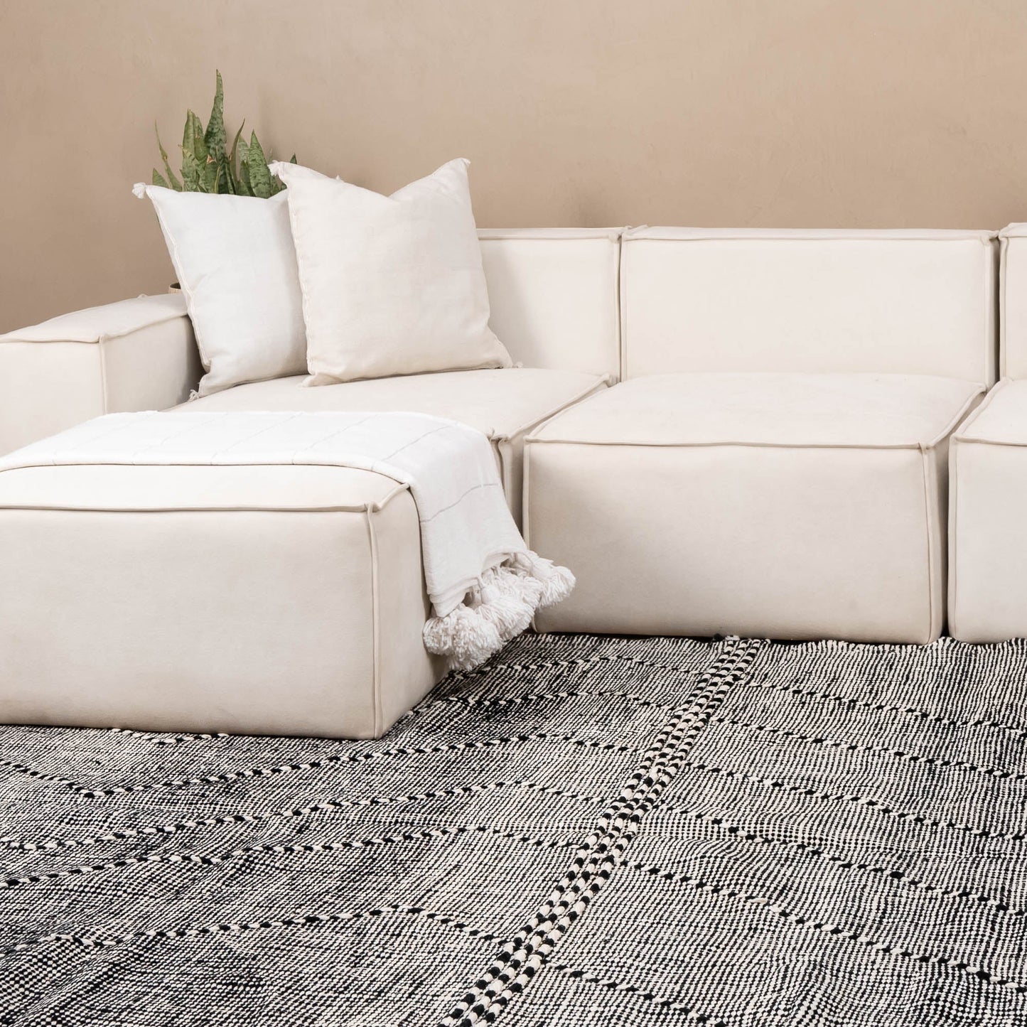 Assa - taznakht kilim rug