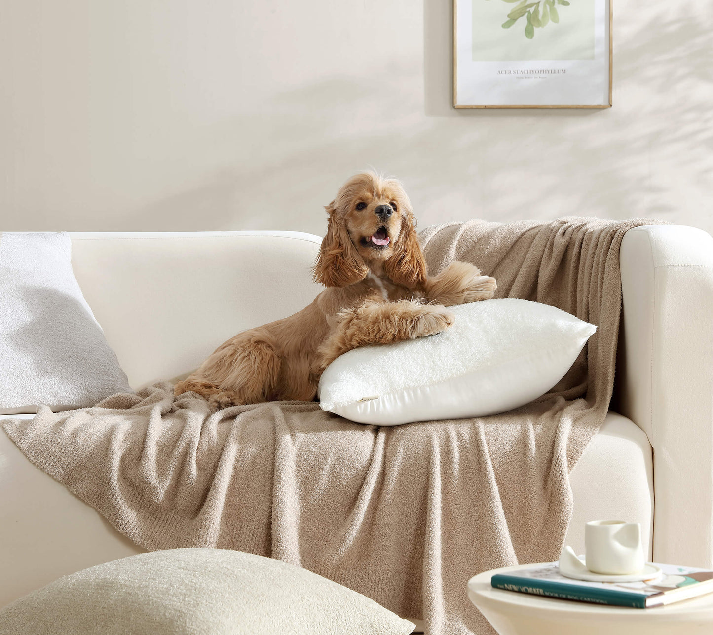 Cloud Silque Throw Pillow