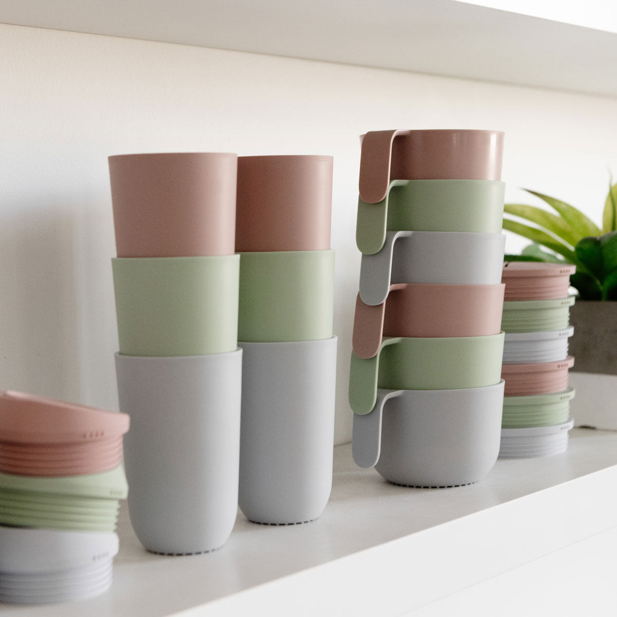 Mealtime Plates – 2 Pack