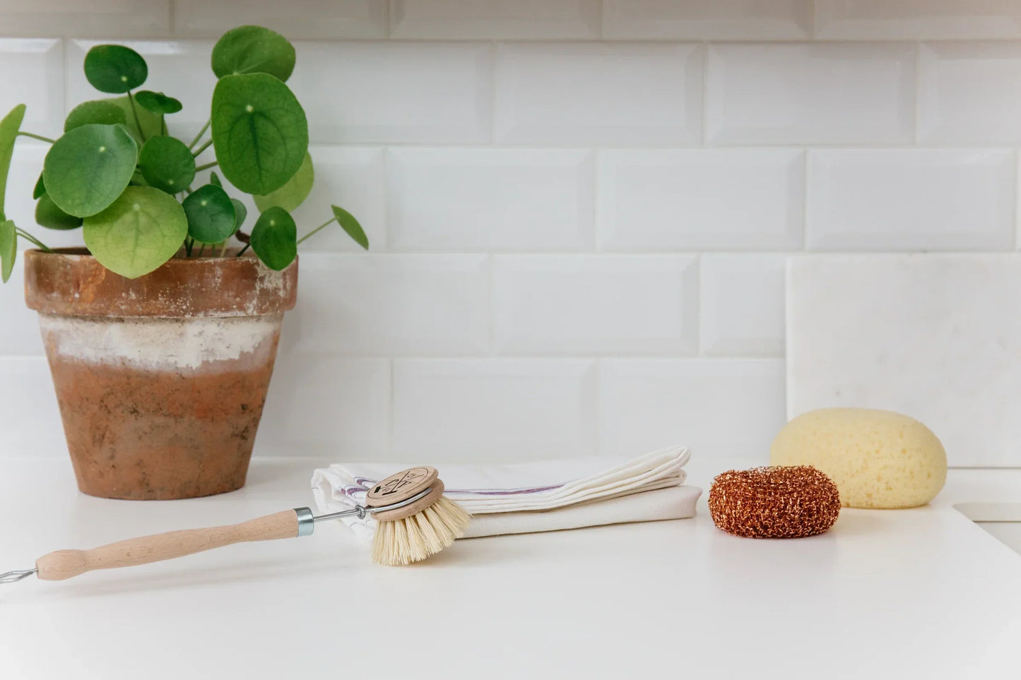 Andrée Jardin Sustainable Dish Cleaning Kit in Wooden Box
